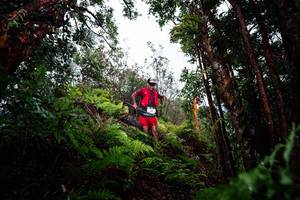 BIB: 
                            <button type="button" onclick="openModal(26203814)" class="btn btn-primary btn-sm float-right btn-popup" data-toggle="modal" data-target=".modal-high-quality">
                        <i class="fas fa-shopping-cart"></i> Add to Cart
                    </button>
                                            <button type="button" onclick="isThisMe(26203814, true)" class="btn btn-success btn-sm float-right btn-popup btn-isme hidden" data-toggle="tooltip" data-placement="bottom" title="นี่คือรูปของคุณใช่ไหม คลิกที่นี่เพื่อเอาเข้าอัลบั้ม">
                        <i class="fas fa-plus"></i> Add to album
                    </button>
                    <button type="button" onclick="isThisMe(26203814, false)" class="btn btn-warning btn-sm float-right btn-popup btn-isnotme hidden">
                        <i class="fas fa-ban"></i> Remove from album
                    </button>